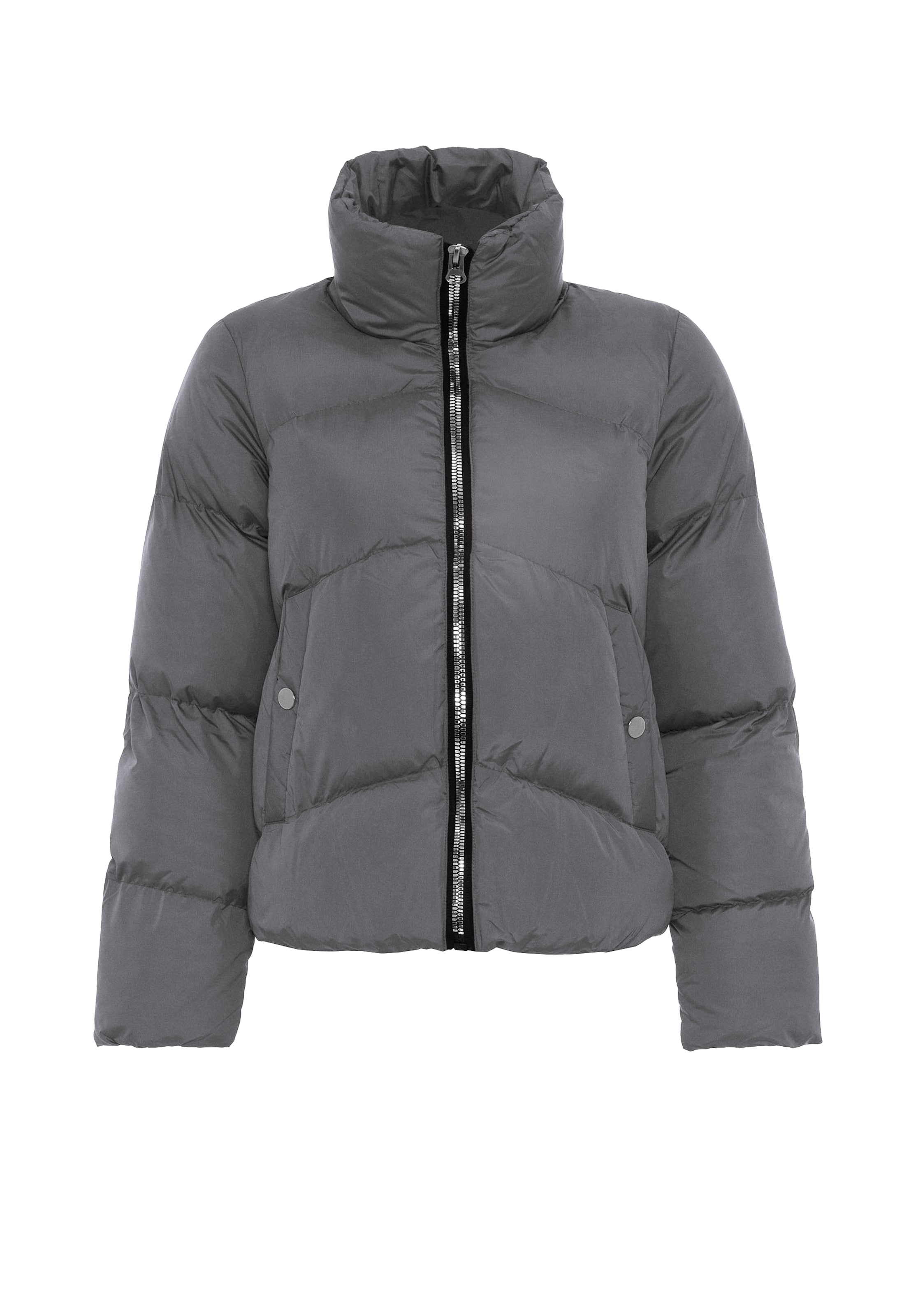 Jimmy Sanders Winter jacket in Grey: front
