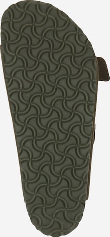 BIRKENSTOCK Pantolette 'Thyme' i grön