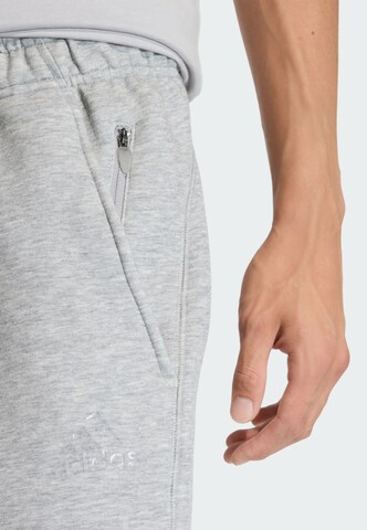 ADIDAS ORIGINALS Regular Broek ' Spacer' in Grijs