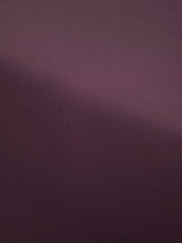 ESSENZA Bed Sheet in Purple