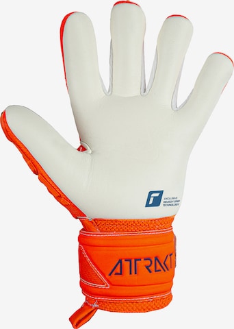 REUSCH Sporthandschoenen 'Attrakt' in Oranje