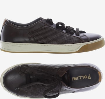 POLLINI Sneaker 40 in Braun: Vorderseite