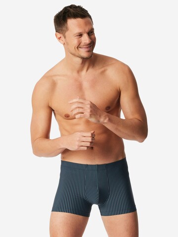 SCHIESSER Boxer shorts ' Pure Micro ' in Blue