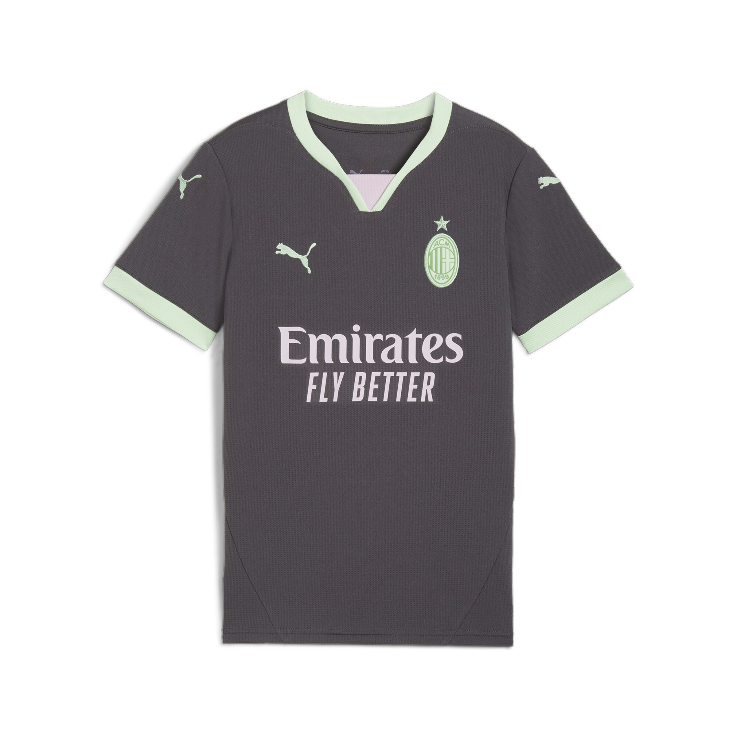 T-Shirt fonctionnel 'AC Milan 24/25' PUMA en gris : devant
