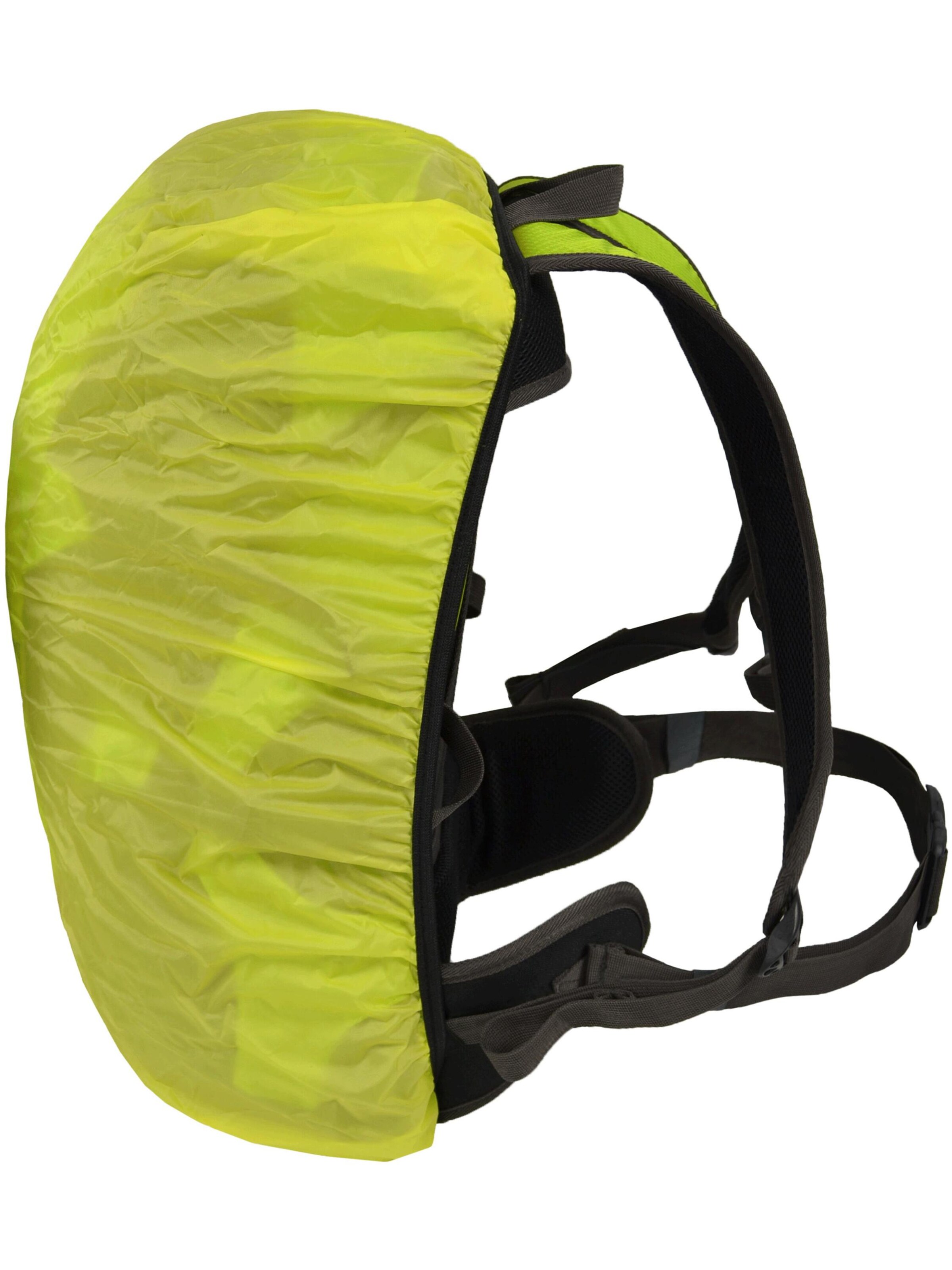 Polar Husky Sports backpack 'Crowsnest' in Green