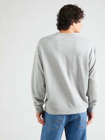REPLAY Sweatshirt i grå