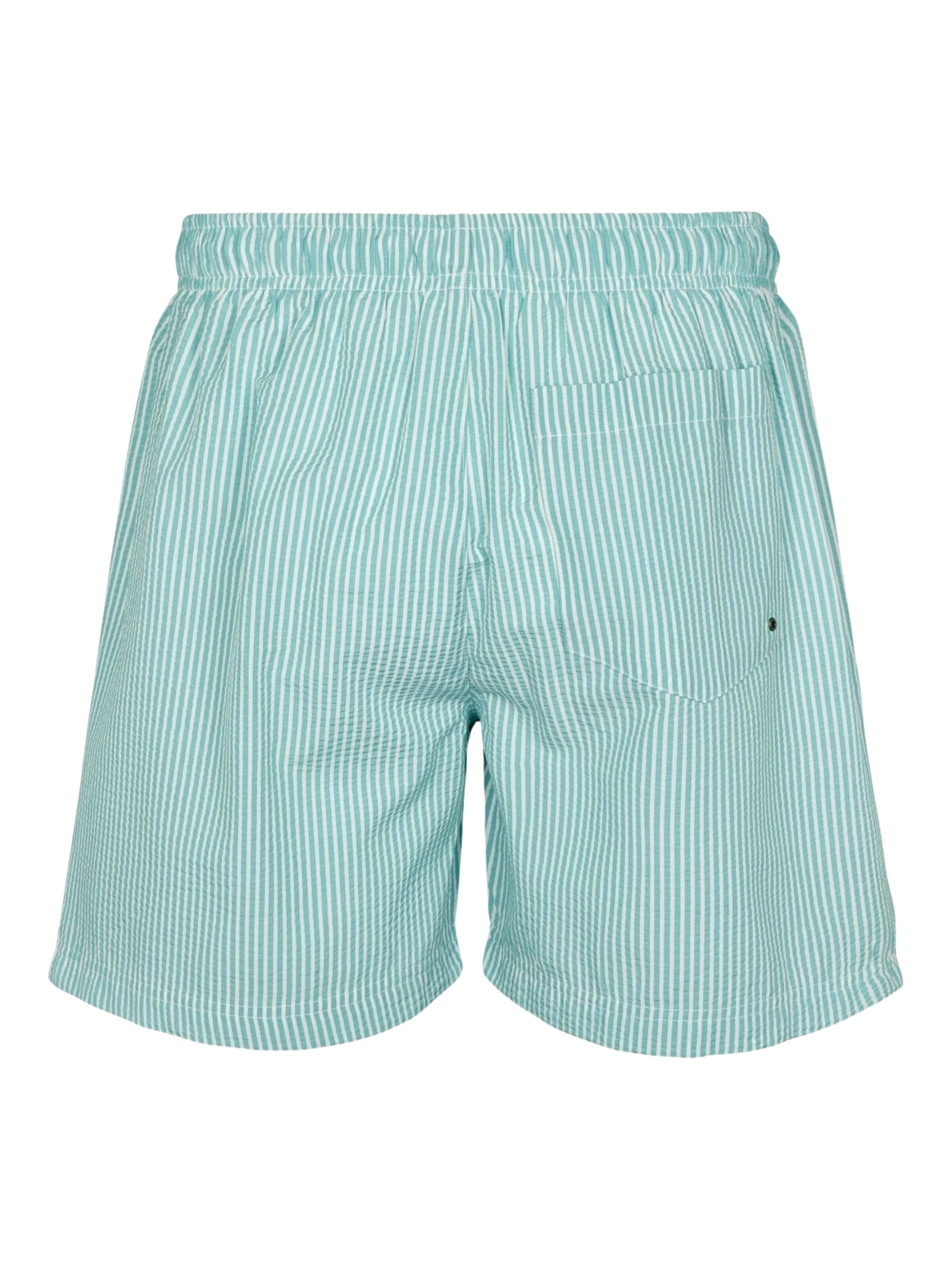 U.S. POLO ASSN. Board Shorts 'Briggs' in Blue