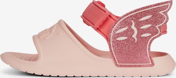 PUMA Sandal 'Divecat V2' in Pink: front