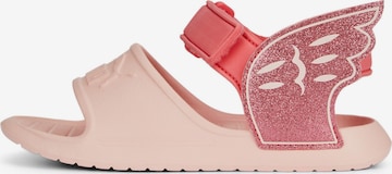 PUMA Sandal 'Divecat V2' i rosa: framsida