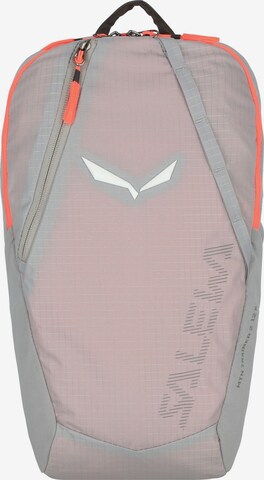 Sac à dos de sport 'MTN ' SALEWA en gris : devant