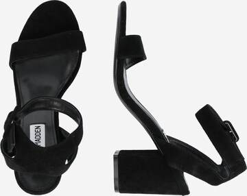 STEVE MADDEN Strap Sandals 'MALIA' in Black