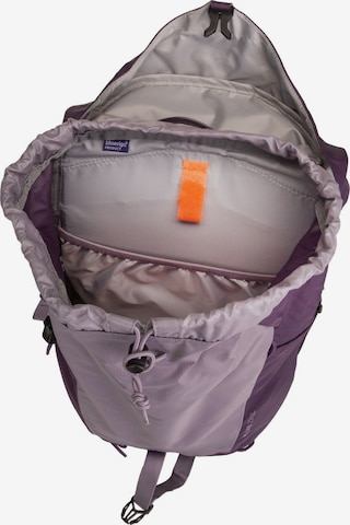 DEUTER Sports Backpack 'AC Lite 22' in Purple