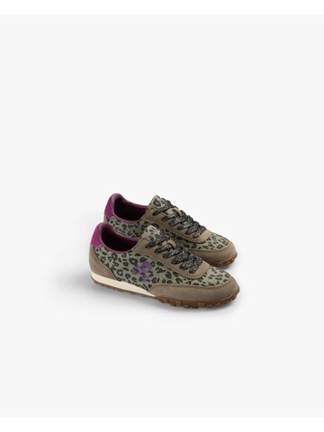 Scalpers Sneakers ' ' in Gemengde kleuren: voorkant