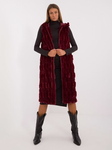 Madnezz House Vest '2368-1.13' in Red: front