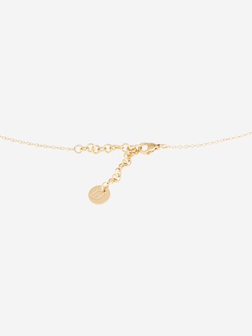 Liu Jo Necklace in Gold