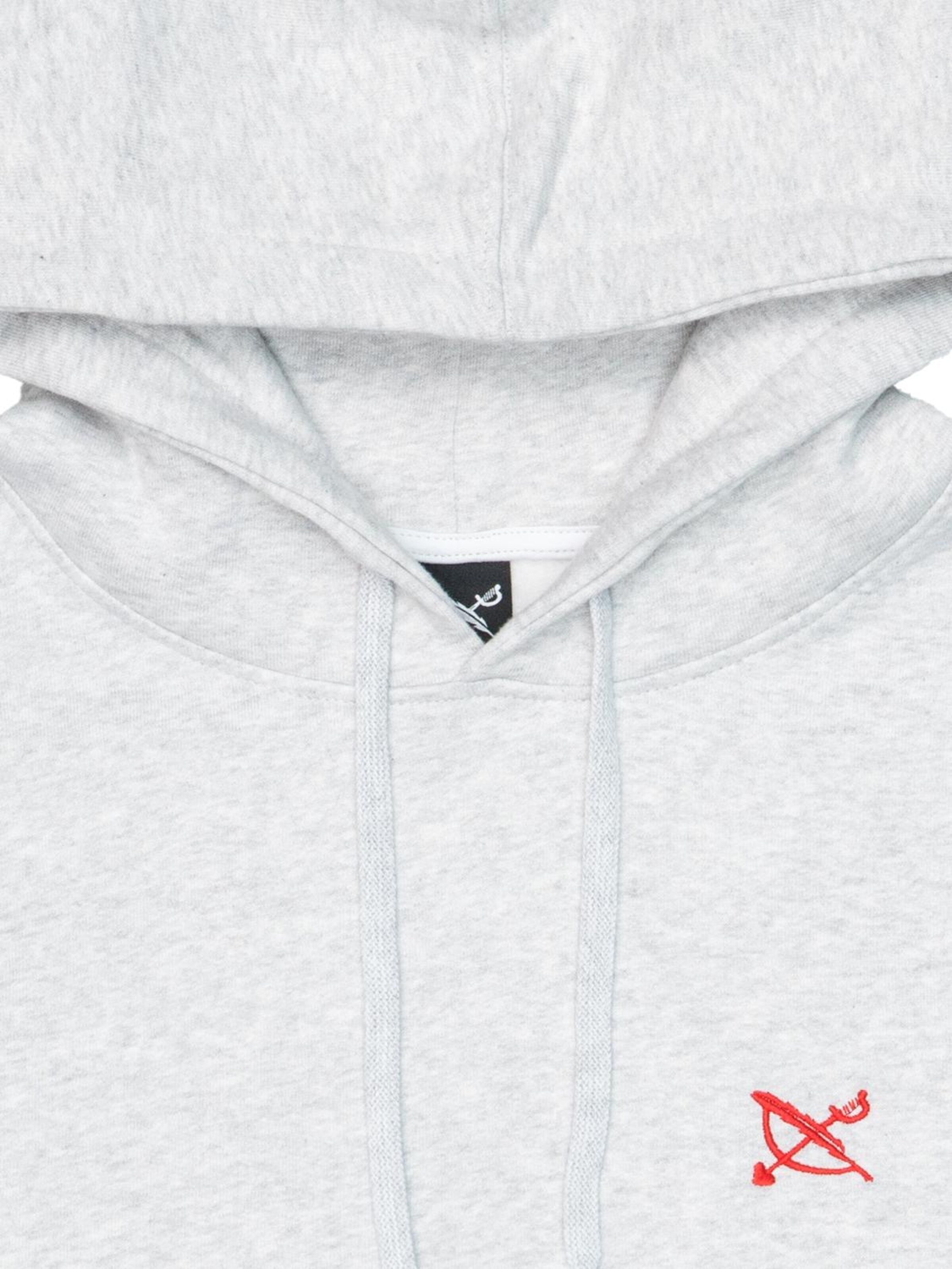 Iriedaily Sweatshirt‌‌‌‌‌‌‌‌‌‌ in Grau