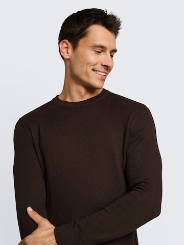 TOM TAILOR Pullover in Braun