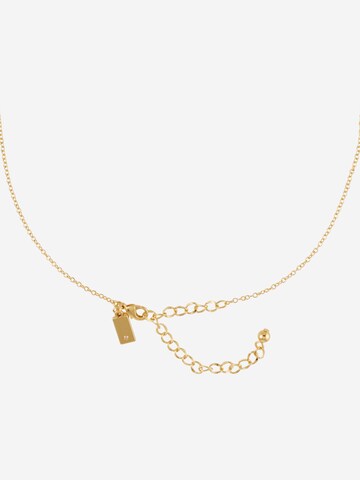 Kate Spade Kette in Gold