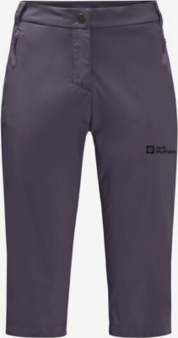 JACK WOLFSKIN Regular Outdoor Pants in Grey: front