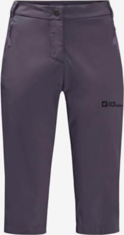 JACK WOLFSKIN Regular Outdoor Pants in Grey: front