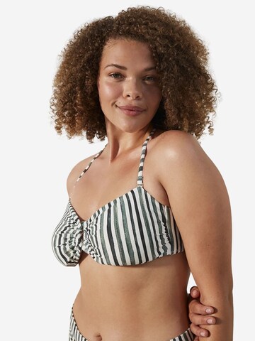 Penti Bandeau Góra bikini 'Bikinioberteile' w kolorze mieszane kolory