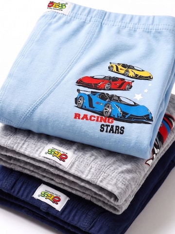 ÖTS Spodní prádlo 'ÖTS Herren-Boxershorts' – mix barev