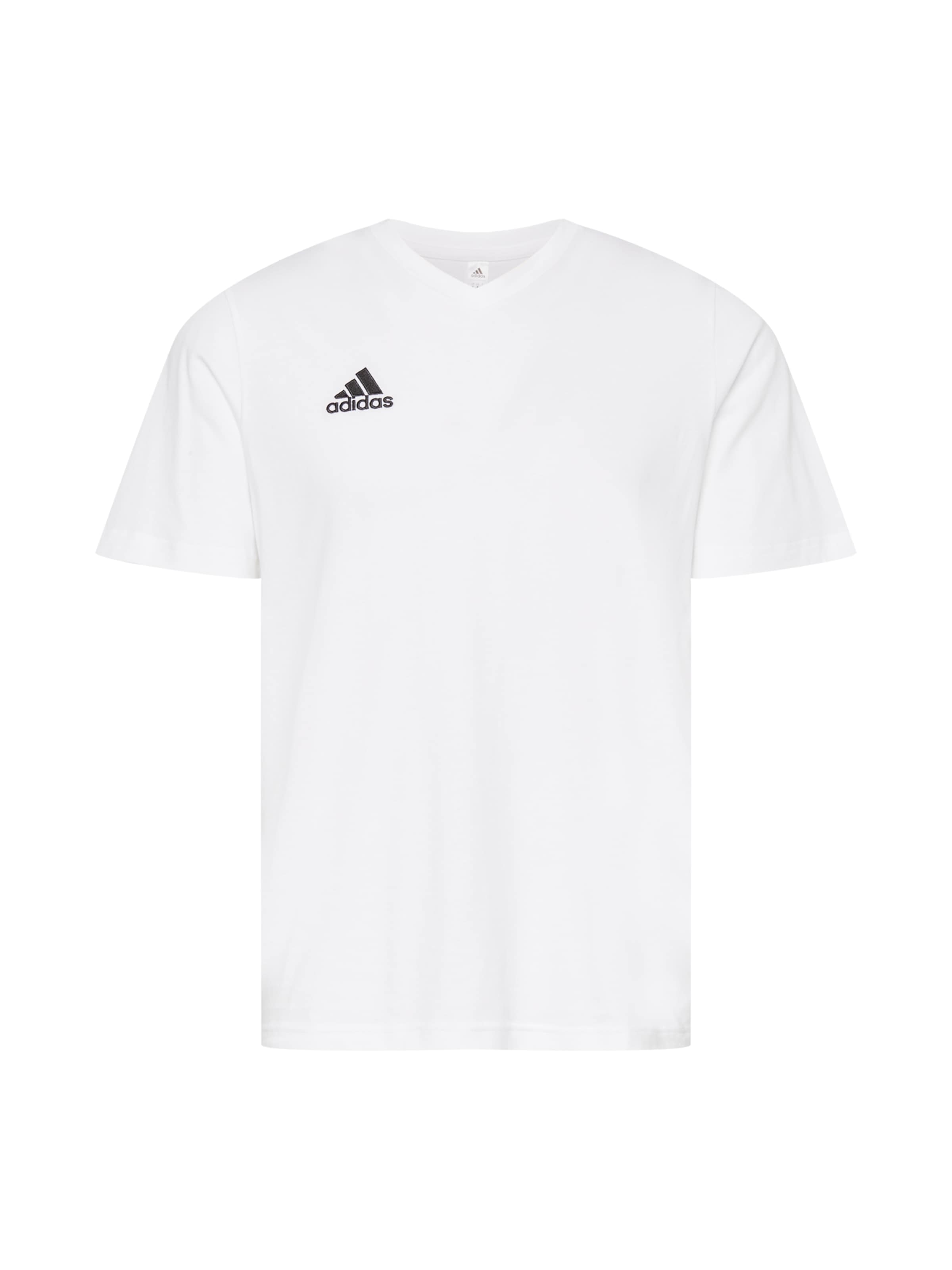 balta ADIDAS PERFORMANCE Sportiniai marškinėliai 'Entrada 22': priekis