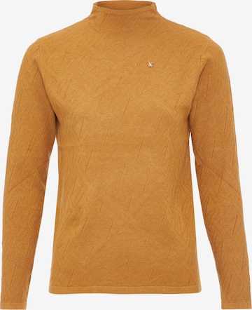 aleva Pullover in Braun: predná strana