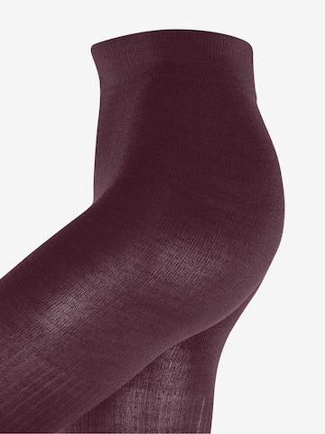 BURLINGTON Tights 'Rib Couture' in Brown: front