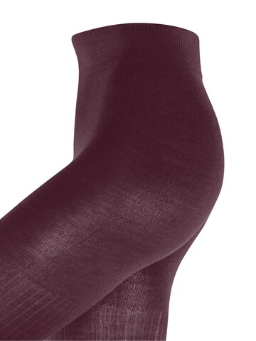 BURLINGTON Tights 'Rib Couture' in Brown: front