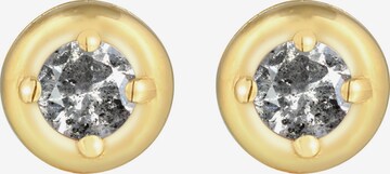 Elli DIAMONDS Earrings in Gold: front