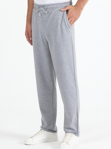 Maxx Free Regular Workout Pants 'Jogginghose Herren' in Grey: front