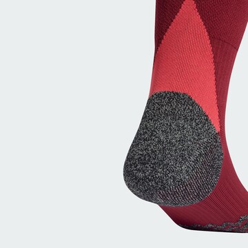 ADIDAS PERFORMANCE Sports socks 'Germany 25 ' in Red