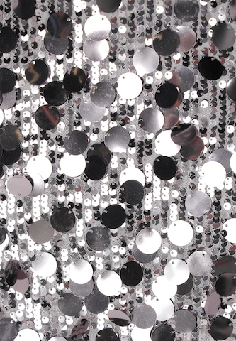 myMo at night Skirt in Silver