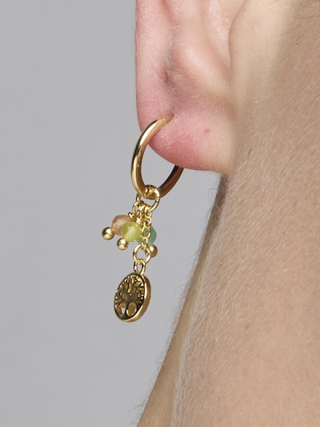 Boucles d'oreilles 'Balal' Luxenter en mélange de couleurs