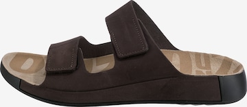 ECCO Mules in Brown: front