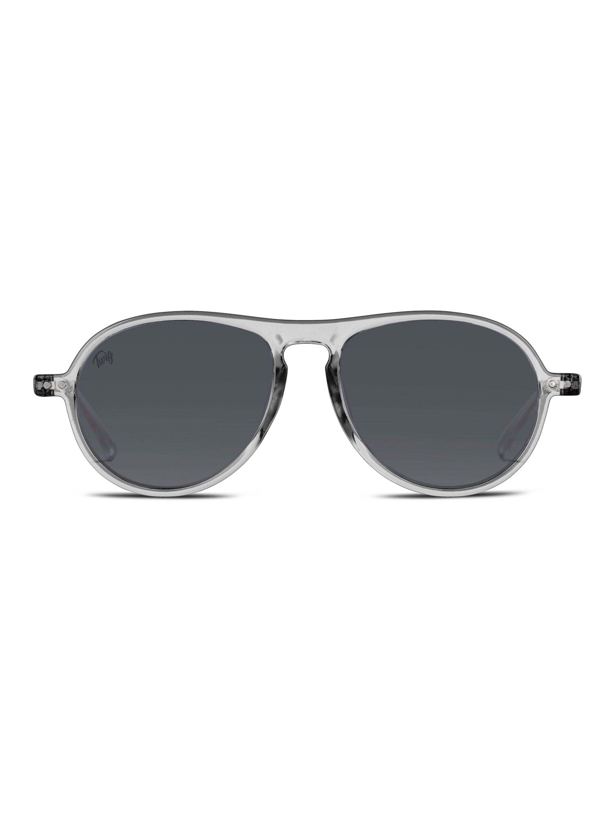 TWIG Concept Milano Okulary przeciwsłoneczne 'Thiele Sun' w kolorze szary: przód