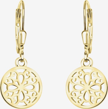 Sofia Milani Ohrringe in Gold: Vorderseite