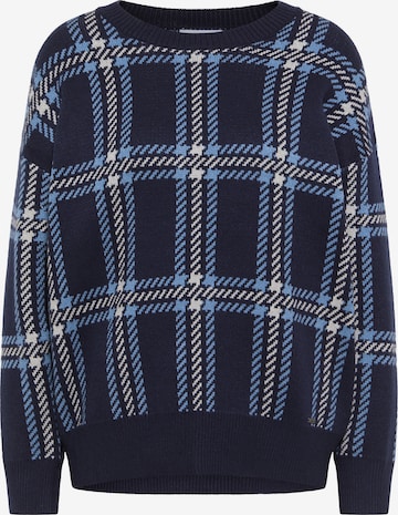 mėlyna usha BLUE LABEL Megztinis: priekis