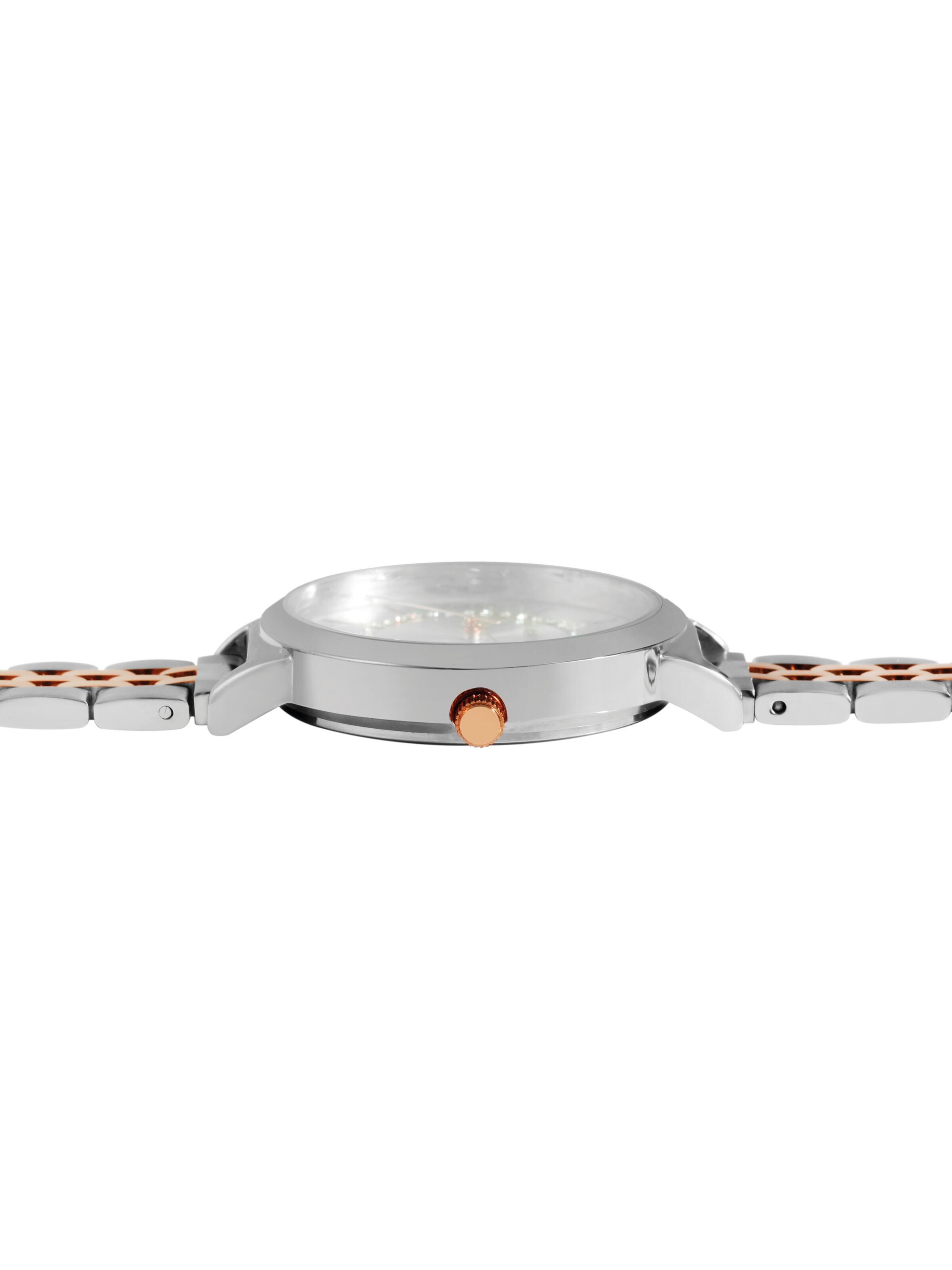 Raptor Analog Watch 'Sara 3 ATM' in Mixed colors