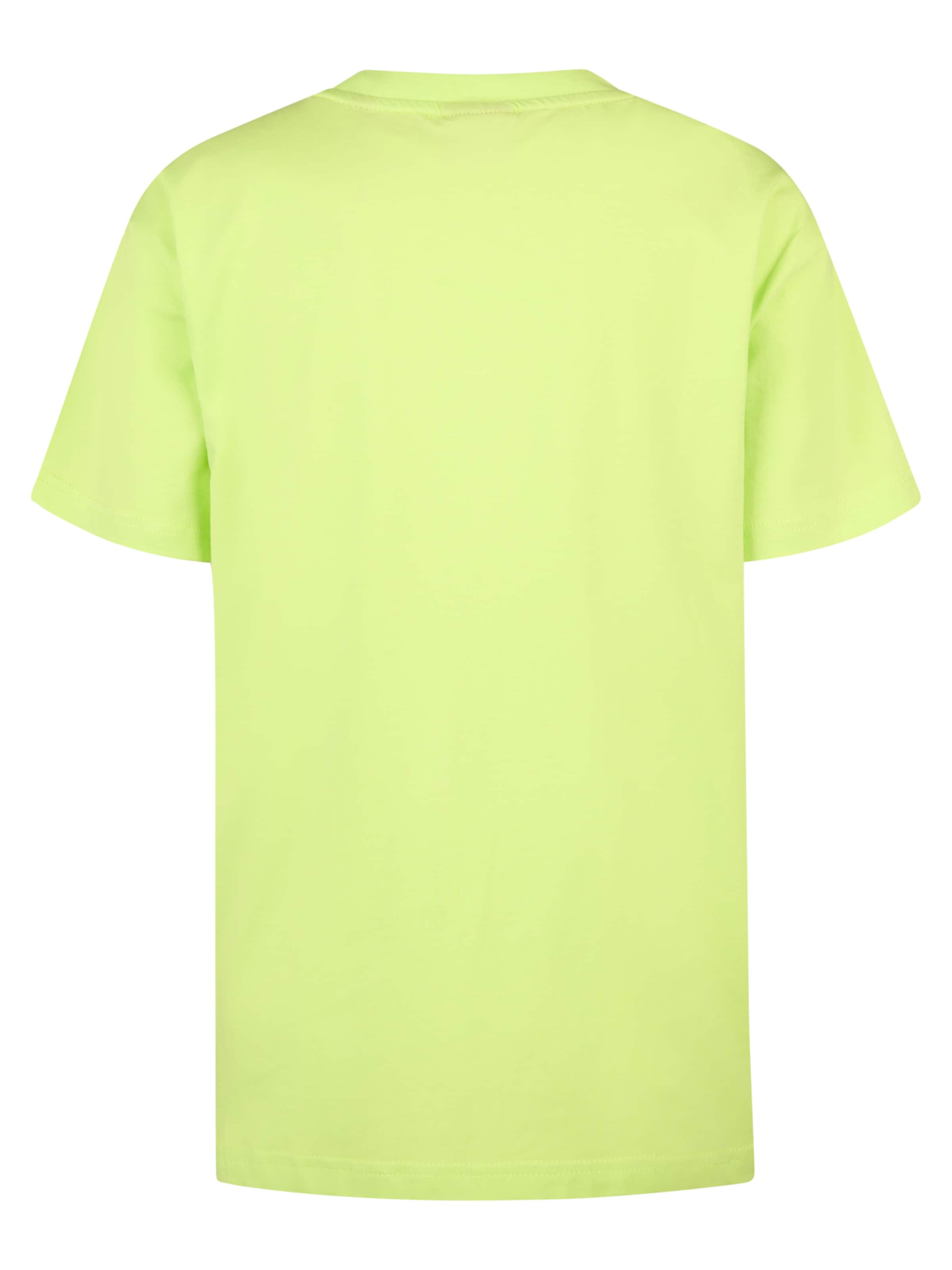 Petrol Industries Μπλουζάκι 'Seapearl' σε πράσινο