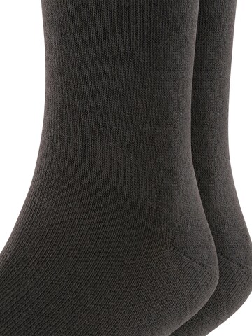 ESPRIT Socks 'Foot Logo 2-Pack' in Black