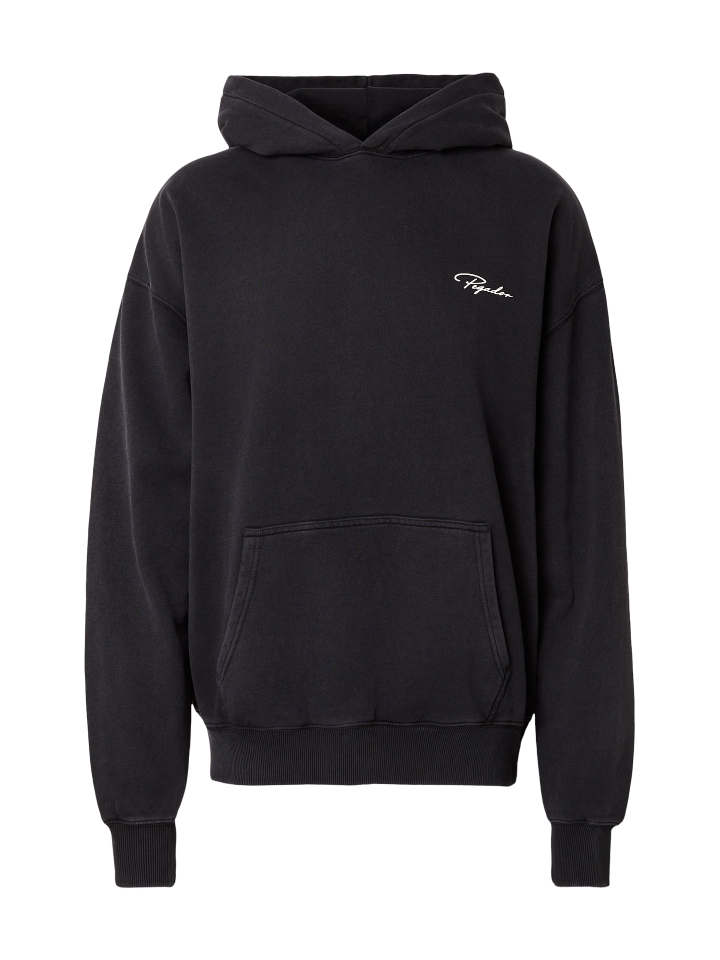 Pegador Свитшот 'Pike' в Черный / Белый, Обзор товара