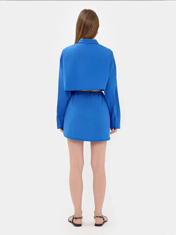 Hiccup Blouse in Blue
