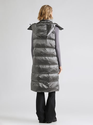 Canadian Classics Bodywarmer in Grijs