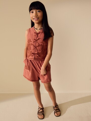 Next Set in Bruin: voorkant