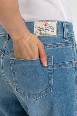 Herrlicher Flared Jeans in Blau