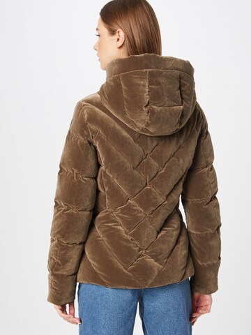 Blauer.USA Between-Season Jacket in Brown