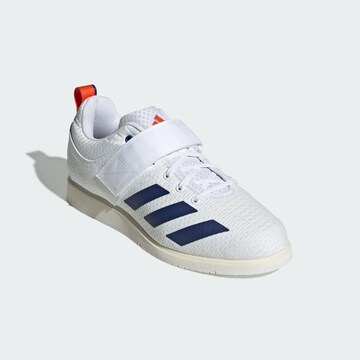ADIDAS PERFORMANCE Sportschuh 'Powerlift 5' in Weiß