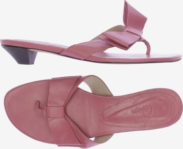 Castañer Sandalen 36 in Pink: predná strana